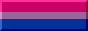 bi pride button