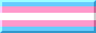 trans pride button